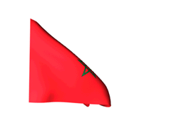 علم المغرب - Moroccan Flag